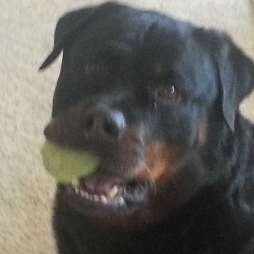 Meet your Posher, Lawrence